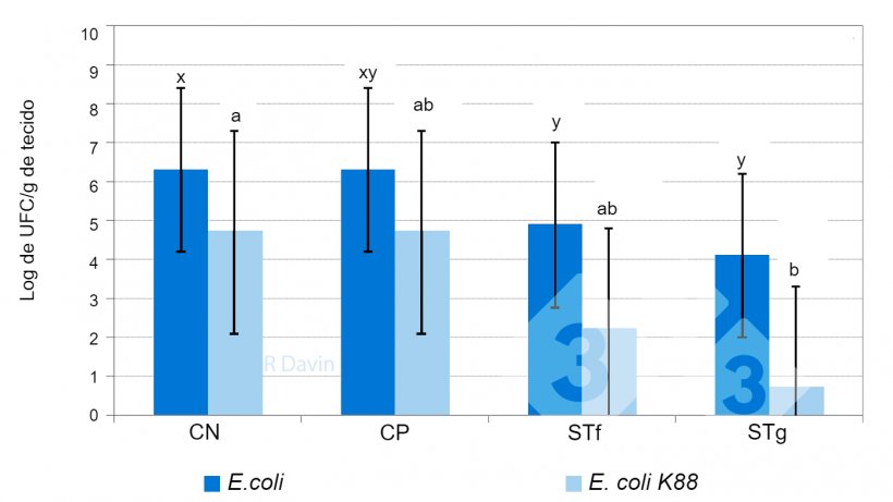 Figura 1. E. coli total e E. coli K88 específica aderidas à mucosa do ileon de leitões desmamados após um desafio  com E. coli K88&nbsp;(adaptado de Molist et al. 2011). x,y Diferentes super pontuações numa barra indicam uma diferença significativa entre os tratamentos dietéticos (P &lt; 0,05).&nbsp; 